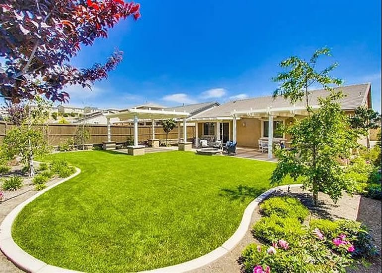 2019 REAL ESTATE BUZZ AND OPTIONS!